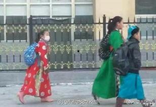 蒙古袍子爆料视频大全,揭秘民族服饰背后的故事与魅力