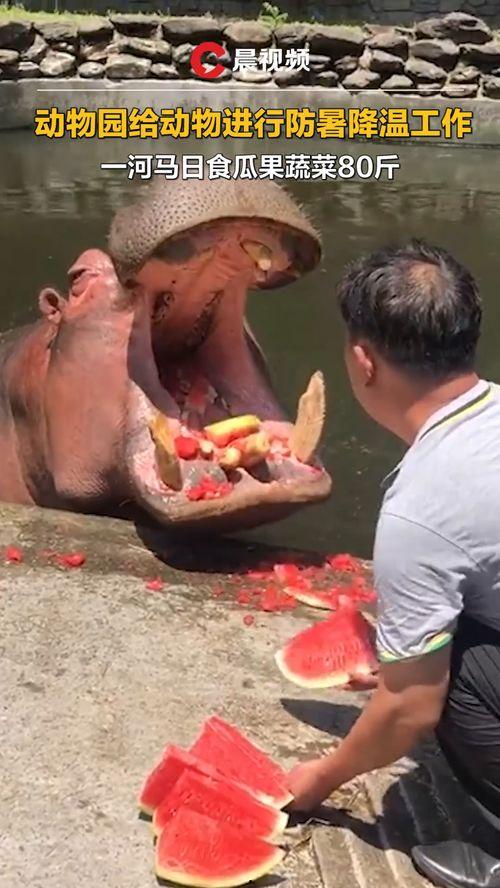 神秘吃瓜全过程免费观看,全程免费观看,揭秘幕后真相 第3张 神秘吃瓜全过程免费观看,全程免费观看,揭秘幕后真相 第3张