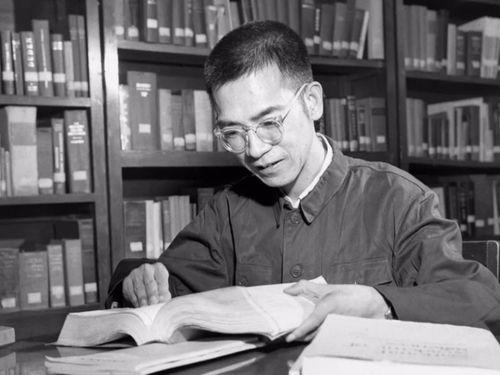 陈景润妻子爆料视频大全,一段尘封的往事与科学巨匠的私生活