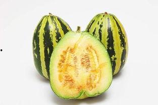 g718sx娱乐吃瓜,揭秘吃瓜群众的狂欢盛宴 第1张 g718sx娱乐吃瓜,揭秘吃瓜群众的狂欢盛宴 第1张